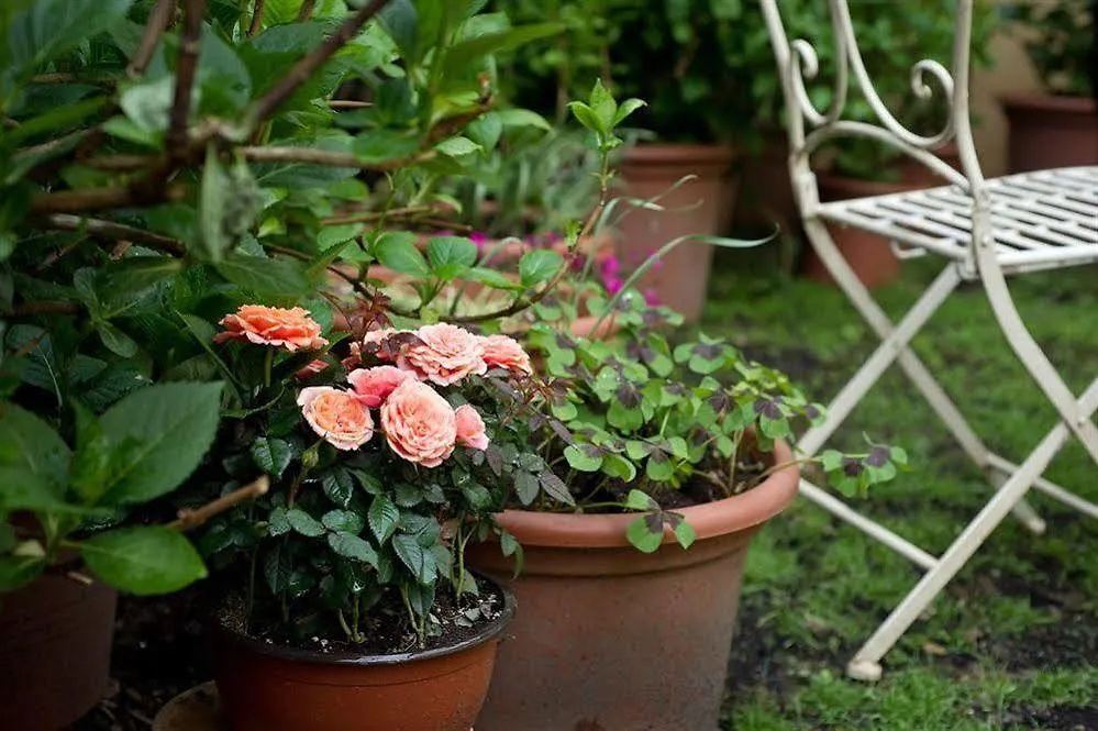 Il Relais Dell'Abbazia Bed and Breakfast Verona Bed & Breakfast